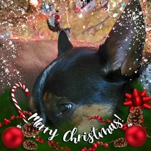 Meet your Posher, Jeff